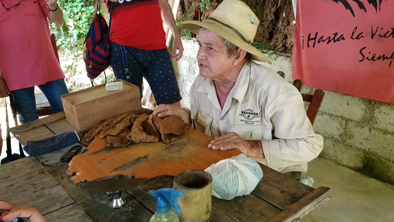 Finca Macondo 02 《 Viñales, Cuba 》jul 2019