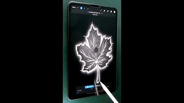 PROCREATE 5.2 UPDATE - Shorts  NEW FEATURES # 2| Easy ADJUSTMENTS with LAYER and PENCIL| Art With A.