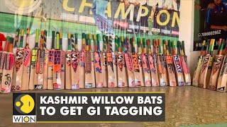 Kashmir willow bats to get GI tagging for a big boost in international markets | World English News