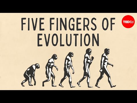 Five fingers of evolution - Paul Andersen