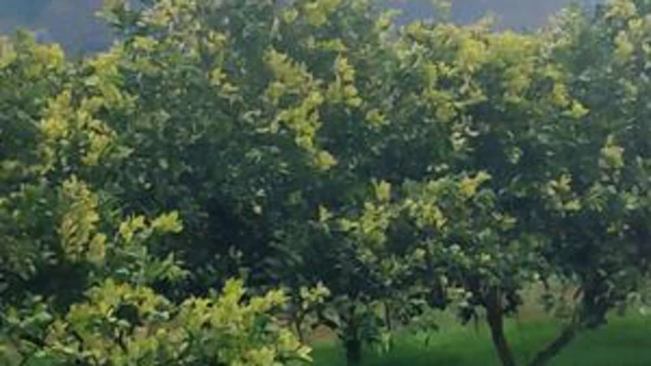 #永兴县山石矶#丹霞地貌#小众景点打卡