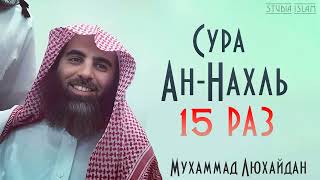 Сура Ан-Нахль 15 РАЗ - Мухаммад Аль-Люхайдан