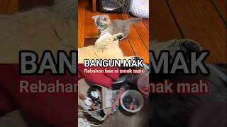 Bangunin emak