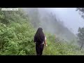 Kasauli Gilbert Trail Trek | Part 02 | रासता भटक गये हम । 🐍 मिला Trekking mein | Full adventure hua