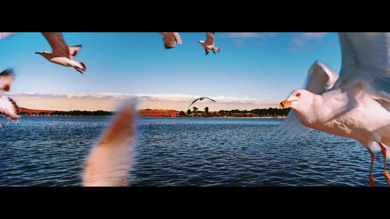 New Book Announcement: Hitchcock's California: Vista Visions From the Camera Eye