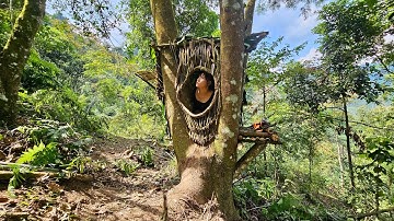 Building a bushcraft shelter on tree stumps - a girl survives alone.