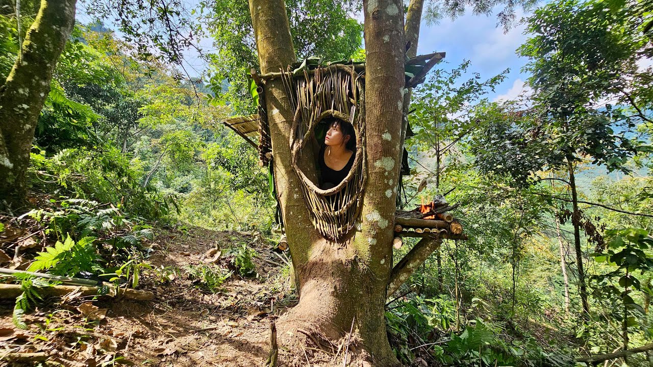 Building a bushcraft shelter on tree stumps - a girl survives alone.