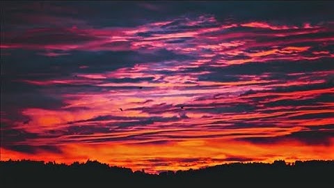 تلاوة شجية تلامس القلوب كلها هدوء وسكينة2018/6/25