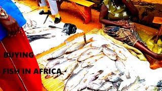 African Village girl's life \/\/Inside my African Village fish Market