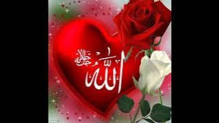 new pictures Allah beautiful gift Muhammad (#saw) Allah dpz/Islamic Urdu photo Arabic language dp.