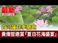 白河蓮花季開跑 黃偉哲邀賞「夏日花海盛宴」【最新快訊】