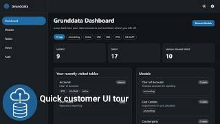 A Quick Look at the Grunddata Customer Interface