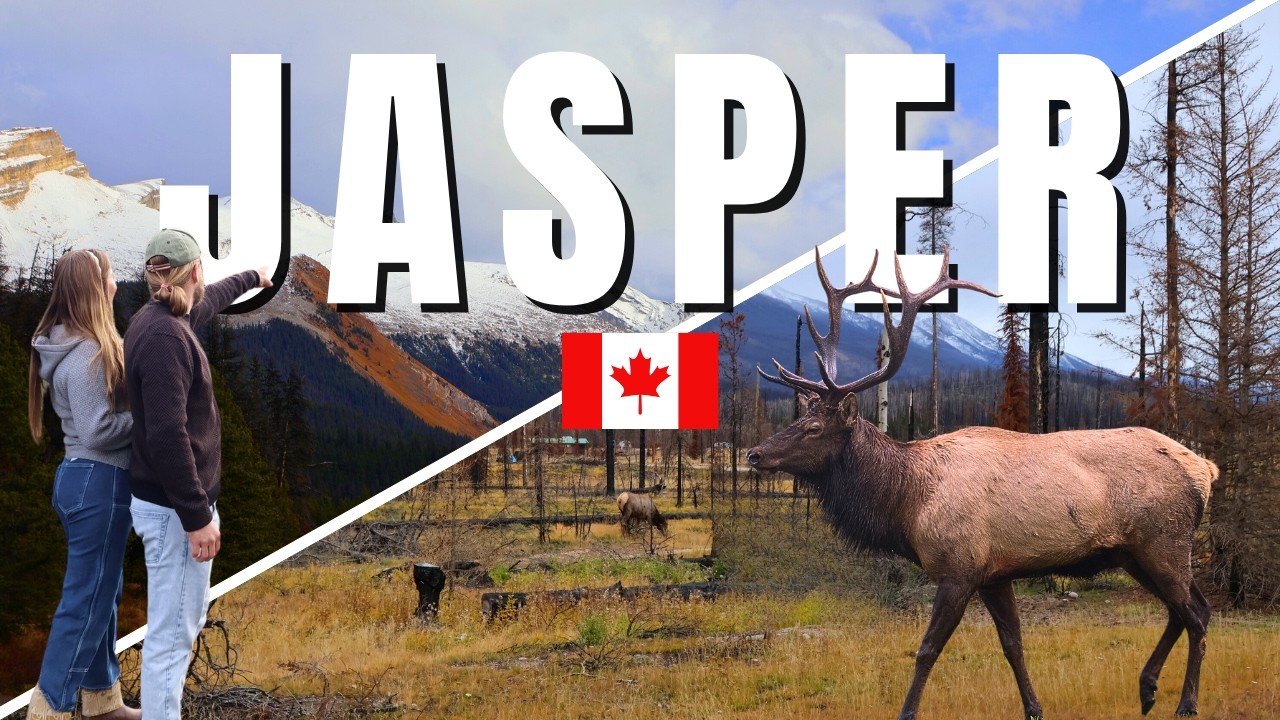 Как выглядит национальный парк Джаспер после пожаров 2024 года