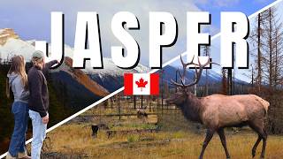 What Jasper National Park Looks Like After the 2024 Fires