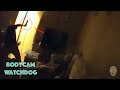 Body Cam LAPD Officer Involved Shooting Pacific OIS