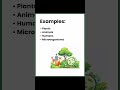 Biotic Components | UGC NET EVS | MSc