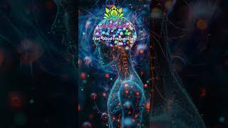Feel Good Frequencies - Fast Track To Joy – Release Happiness Brain Hormones - Alpha Waves Music