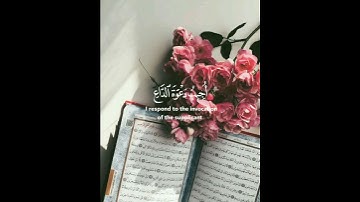 @تلاوه تشرح الصدر😭💔#مشاري العفاسي#ستوريات قران