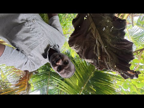 ASMR / 360 camera rotating  1000% SLEEP,