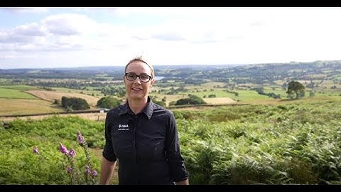 Longer Lasting | Zebra