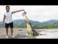 Bắt cá cho cá sấu ăn