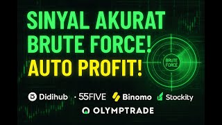 Terminal BruteForce DIDIHUB HILO — Real-Time Decode screenshot 3