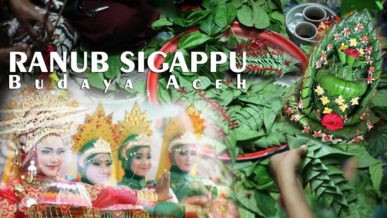 Budaya Aceh Proses Pembuatan RANUB SIGAPPU dan Asal muasal Ranub bagi ...