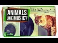 Do Animals Appreciate Music?