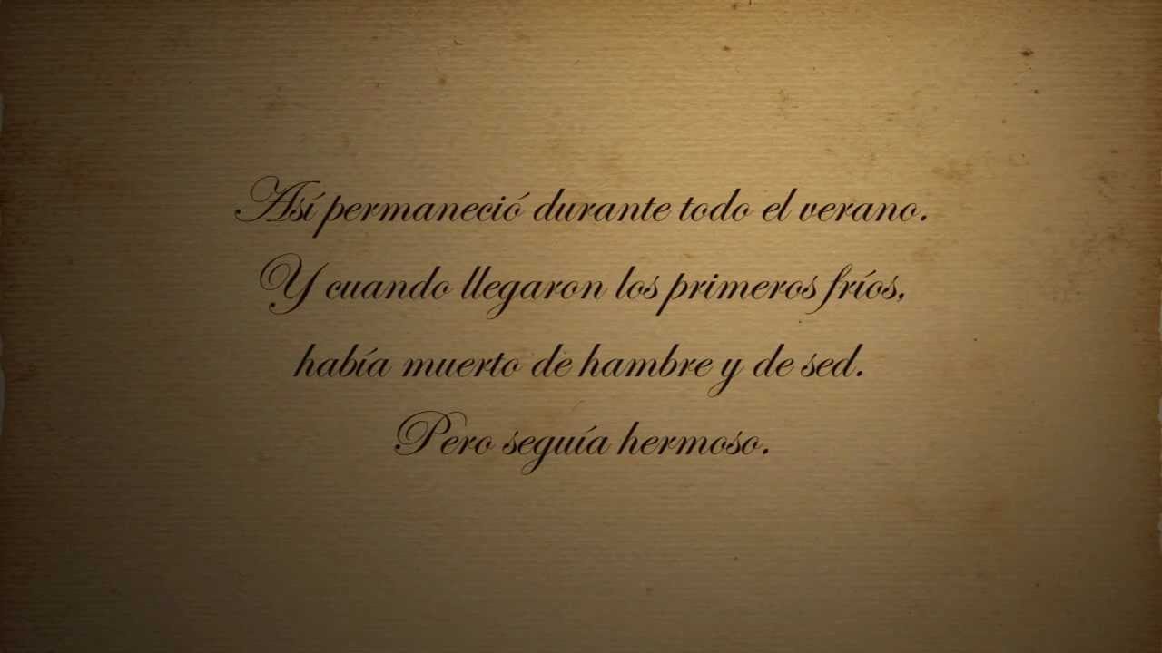 "Inmolación por la Belleza" de Marco Denevi - YouTube