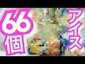 アイスが66個届いた