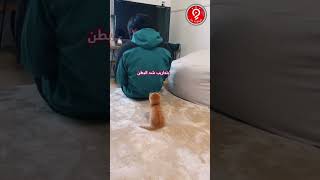 الحل النهائي للتخلص من البطن في أسرع وقت 