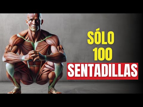 ¿Por qué los