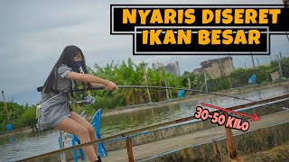 FULL POWER,,!!! MANCING IKAN BESAR SEGEDE GABAN - SATU EKOR BISA 50 KILOAN