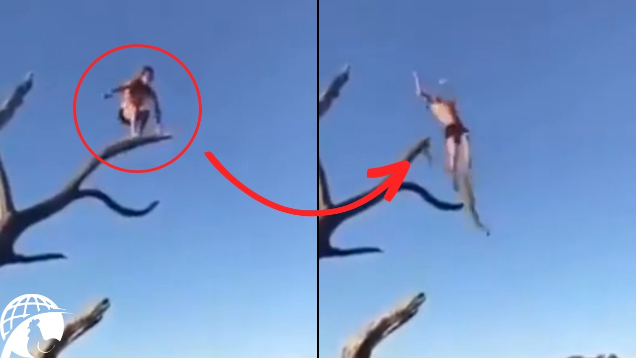 50 Disturbing Videos I Deeply REGRET Clicking On - YouTube