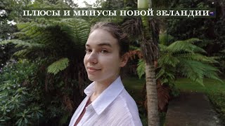 Плюсы и Минусы Жизни в Новой Зеландии 🇳🇿 Pros and Cons of Living in New Zealand