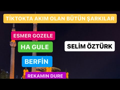 Selim Öztürk /Tiktokta Akım Olan Şarkılar Esmer Gozele Ha Gule Berfin Rekamın Dure