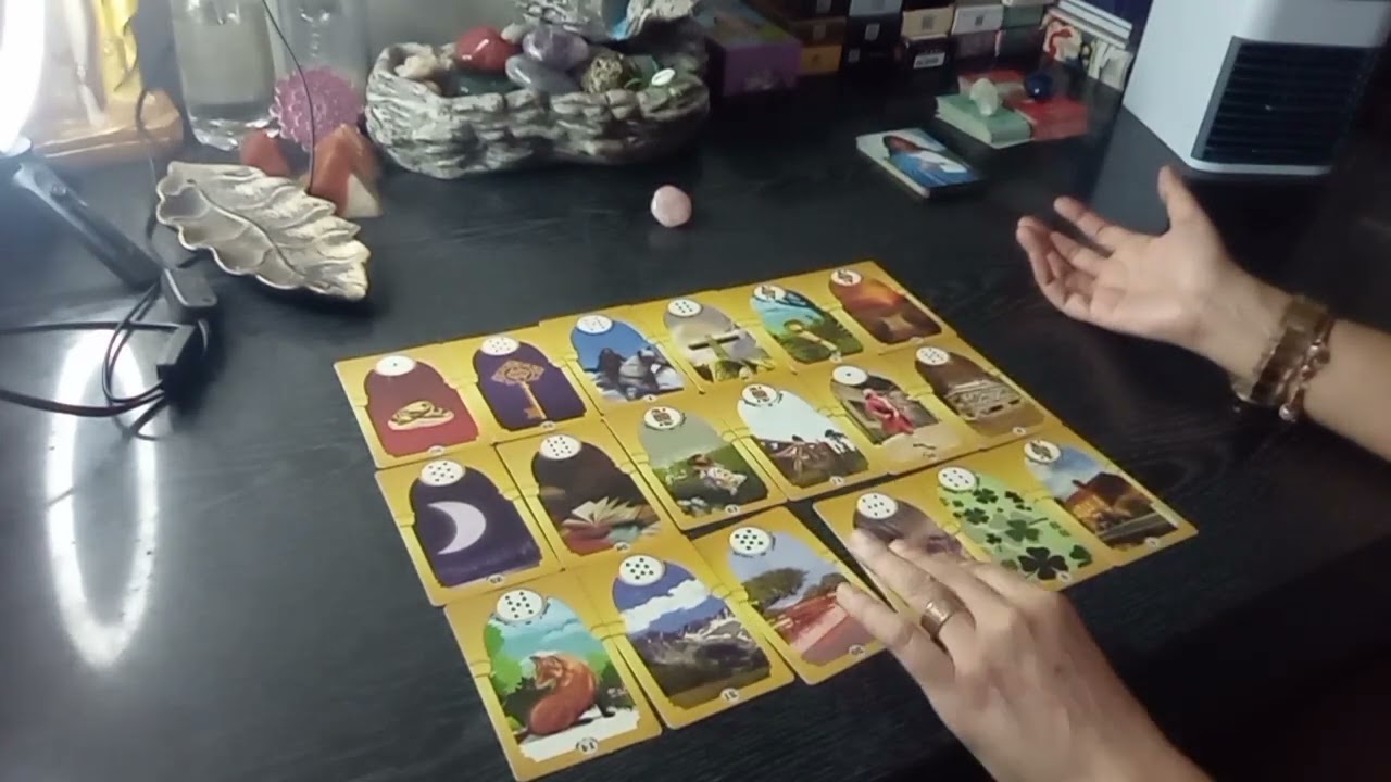 INVESTIGANDO A VIDA DA RIVAL.