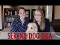 SERVICE DOG Q&A