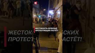 Жестокость сербских протестующих растёт! #вучич #сербия #протесты #беспорядки #новости #политика