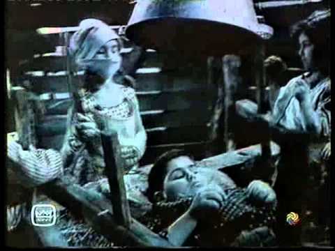 ცეროდენა რაინდები