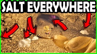 Salt Mine with 40 Salt Shards in Grounded