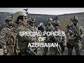 Special Forces Of Azerbaijan - 2019 - Azərbaycan Xüsusi Qüvvələrin üzvləri