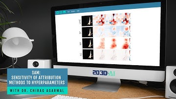 SAM: The Sensitivity of Attribution Methods to Hyperparameters (CVPR 2020) - Dr. Chirag