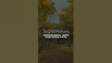 وَمَا هَٰذِهِ الْحَيَاةُ الدُّنْيَا إِلَّا لَهْوٌ وَلَعِبٌ ۚ - القارئ محمد اللحيدان