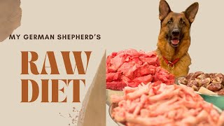 My German Shepherd's Raw Diet by Meet the Chows 341 views 6 months ago 1 minute, 42 seconds