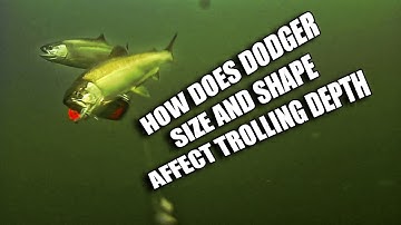 How Kokanee Dodger Size and Shape Affect Trolling Depth