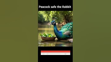 Brave Peacock Saves Rabbit from Snake! 🦚🐰🐍🔥