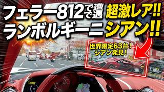 こんなの初めて見た…神宮で遭遇した“世界63台限定車”がヤバすぎる