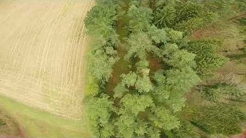 HaloRc Osiris with Fettec esc test flights