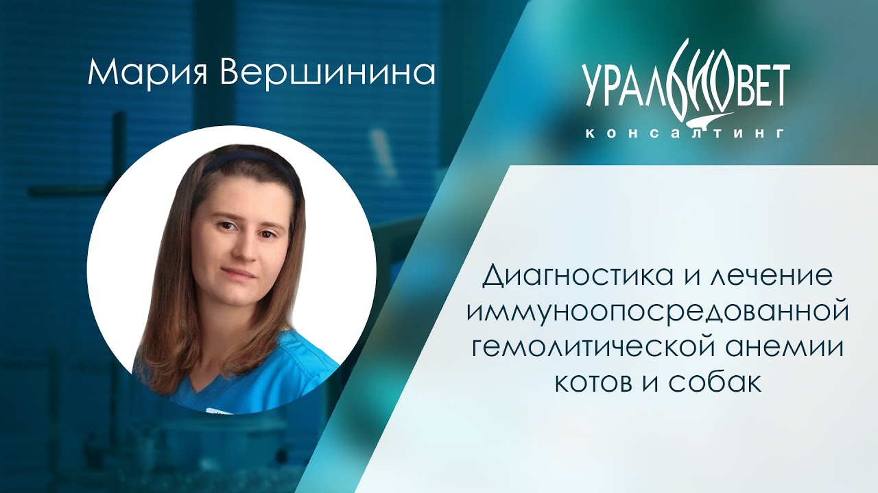 Диагностика и лечение иммуноопосредованной гемолитической анемии котов ...